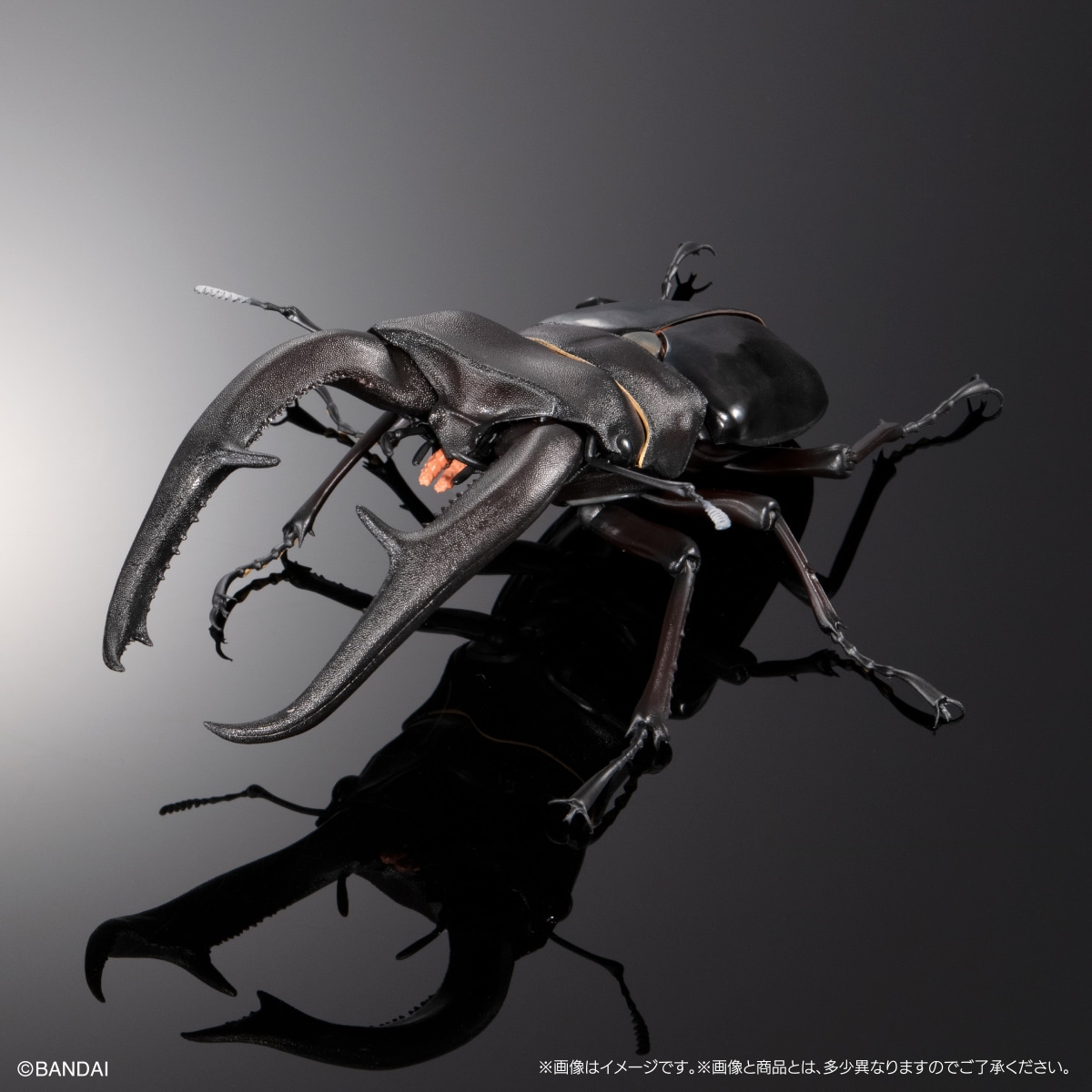 いきもの大図鑑プレミアム　マンディブラリスフタマタクワガタ（ブラック）