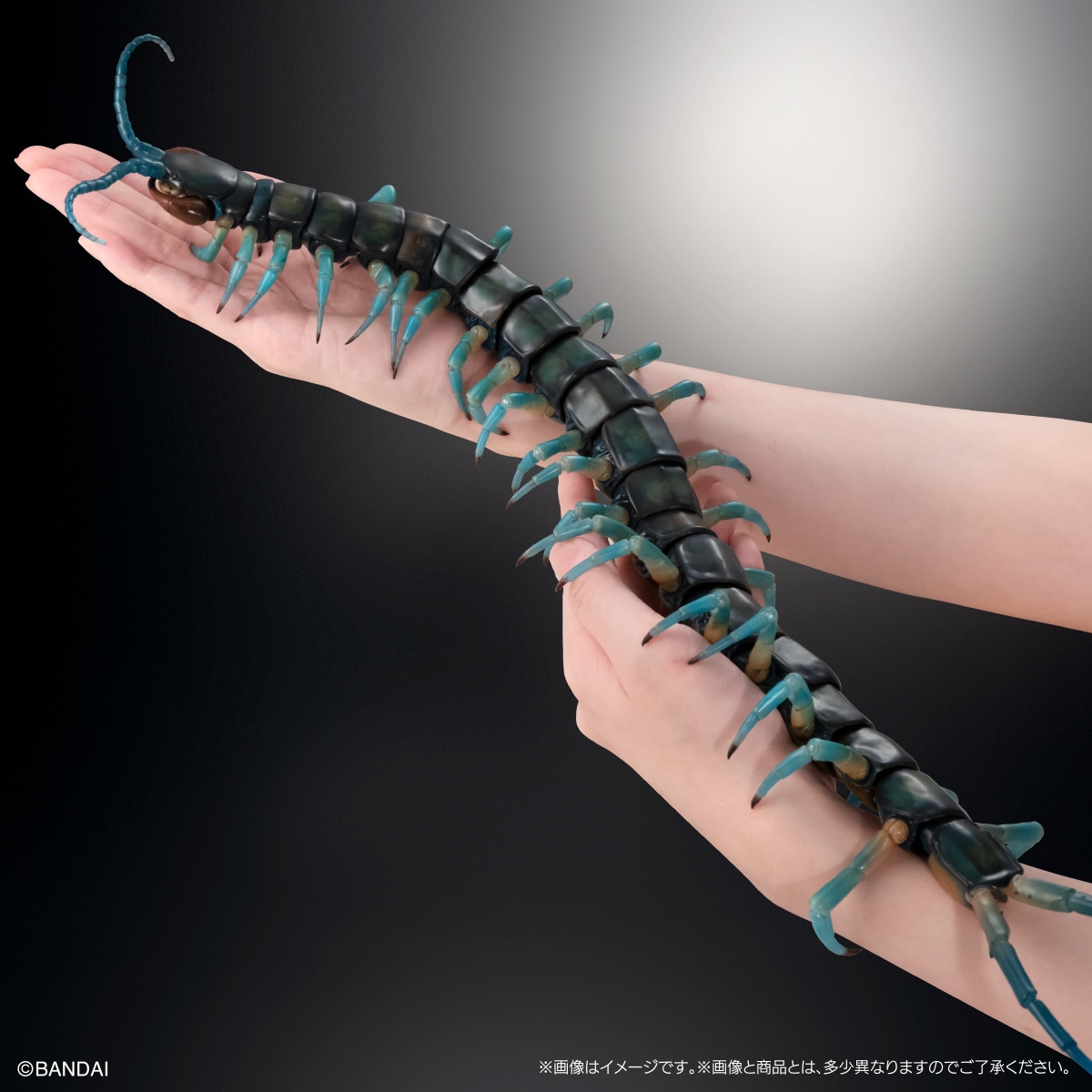 いきもの大図鑑アルティメット　リュウジンオオムカデ