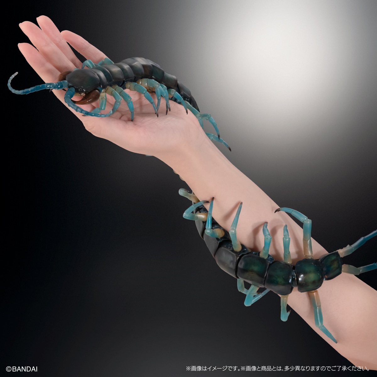 いきもの大図鑑アルティメット　リュウジンオオムカデ