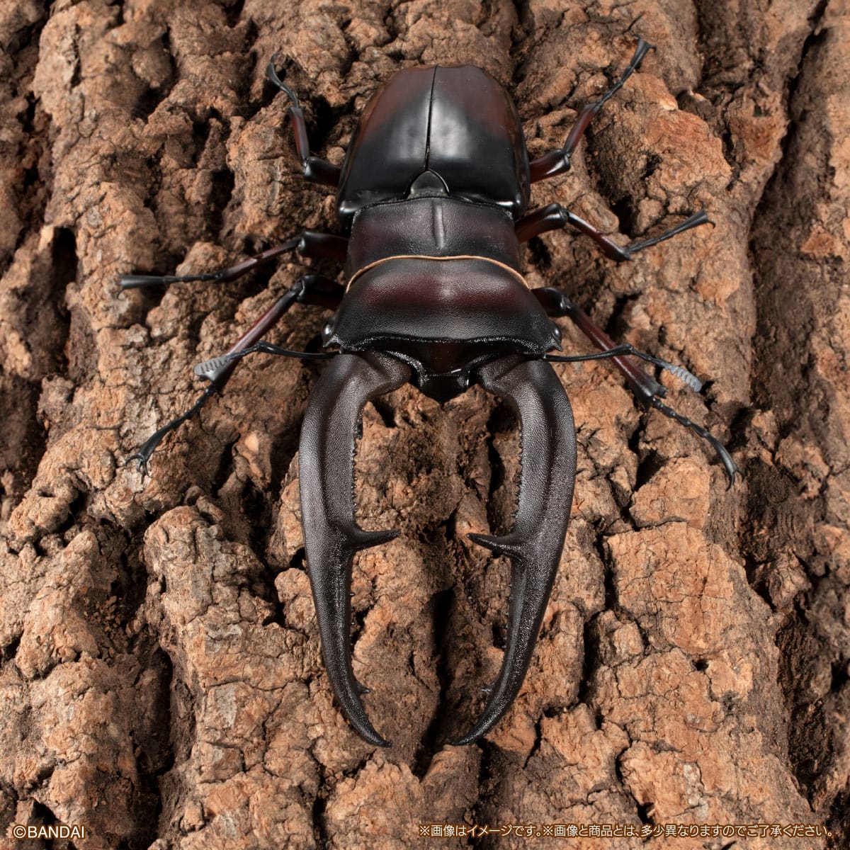 いきもの大図鑑プレミアム　マンディブラリスフタマタクワガタ（レッド）