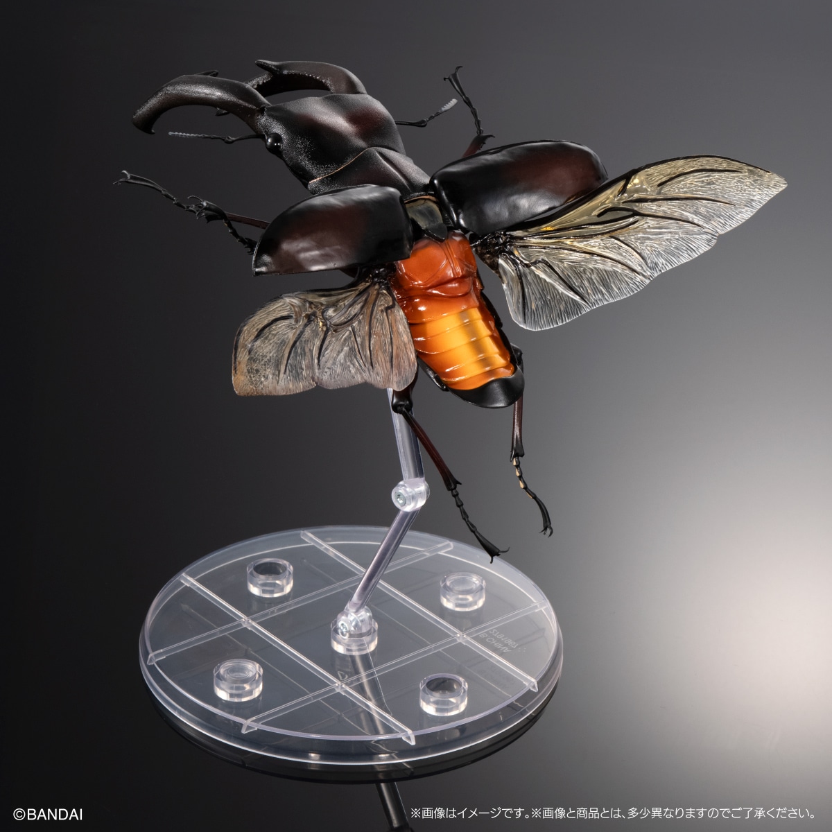 いきもの大図鑑プレミアム　マンディブラリスフタマタクワガタ（レッド）