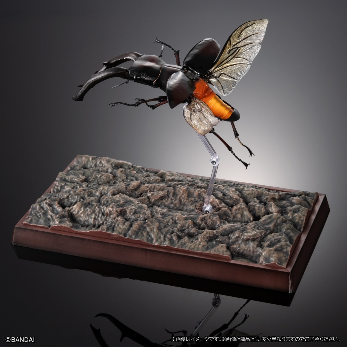 いきもの大図鑑プレミアム　マンディブラリスフタマタクワガタ（レッド）