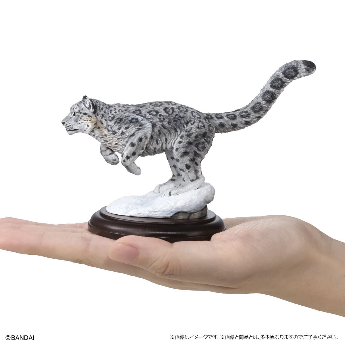 いきもの大図鑑ディスプレイモデルコレクション 野生のネコ科動物