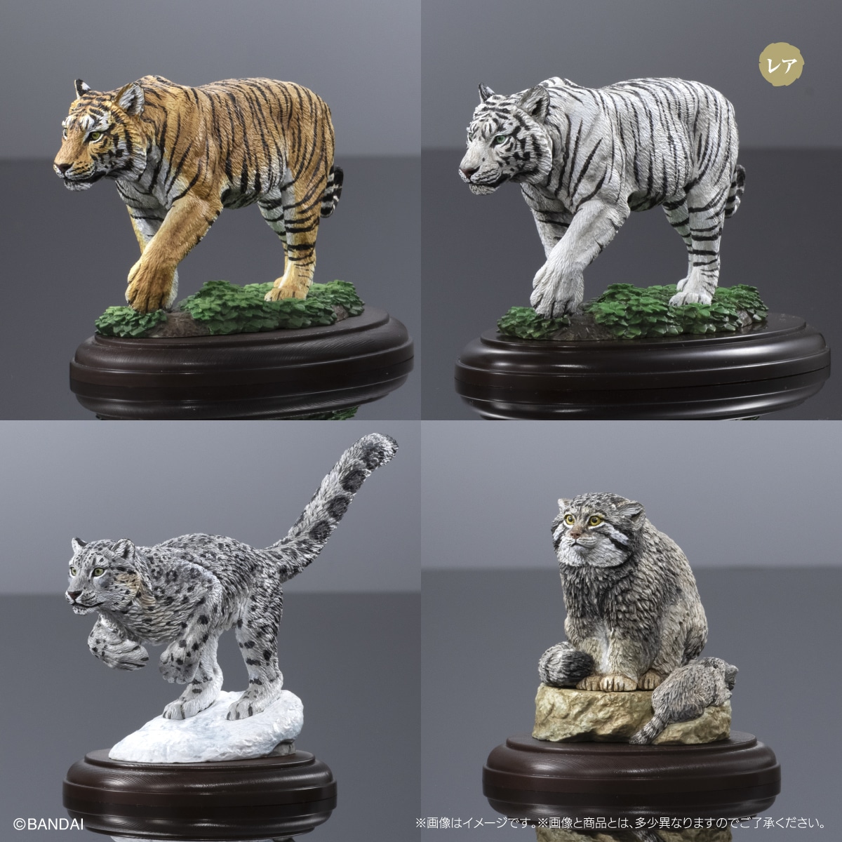 いきもの大図鑑ディスプレイモデルコレクション 野生のネコ科動物