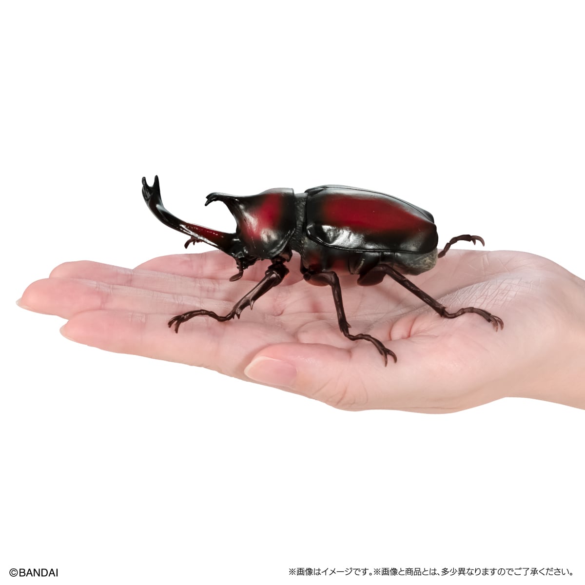 いきもの大図鑑　かぶとむし09　樹皮台座（小）セット