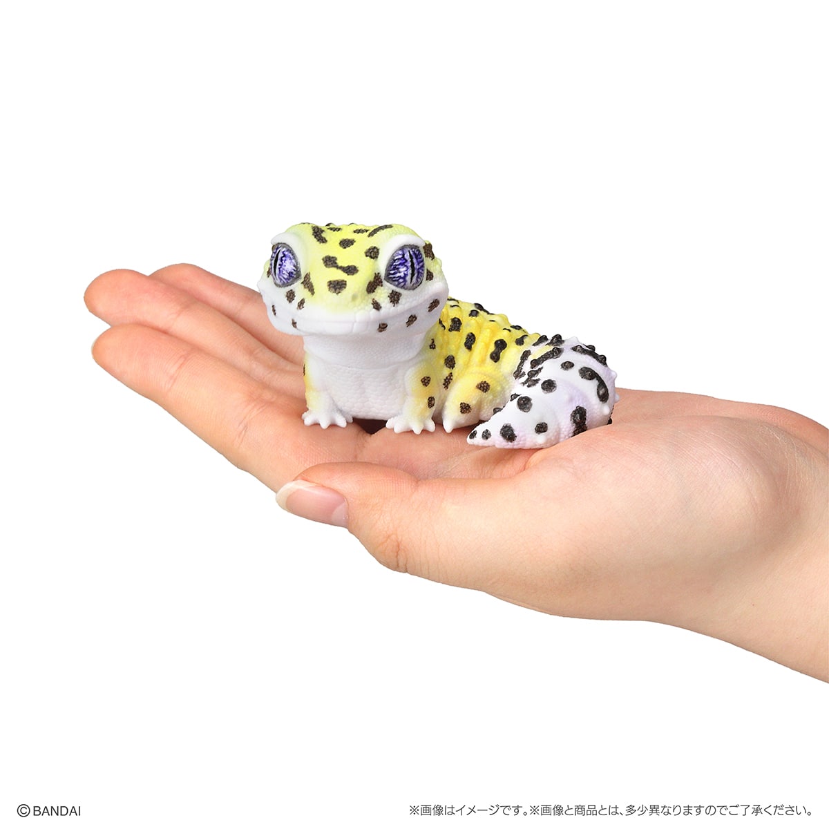 いきもの大図鑑　ソフビコレクション　レオパとクレス