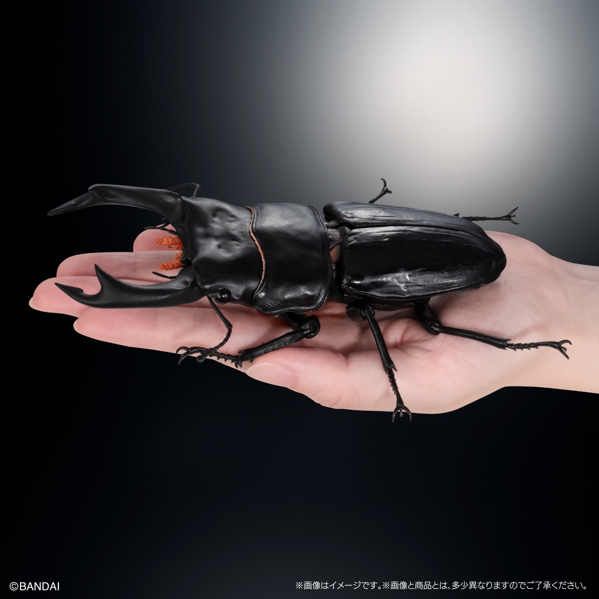 いきもの大図鑑アドバンス　クワガタ02　樹皮台座（中）セット