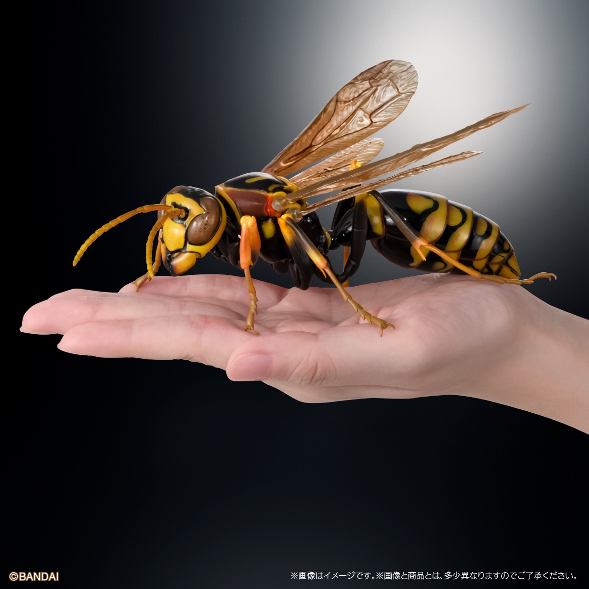 いきもの大図鑑アドバンス　アシナガバチ　ディスプレイスタンドセット