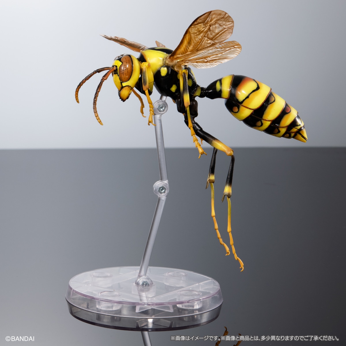 いきもの大図鑑アドバンス　アシナガバチ　ディスプレイスタンドセット