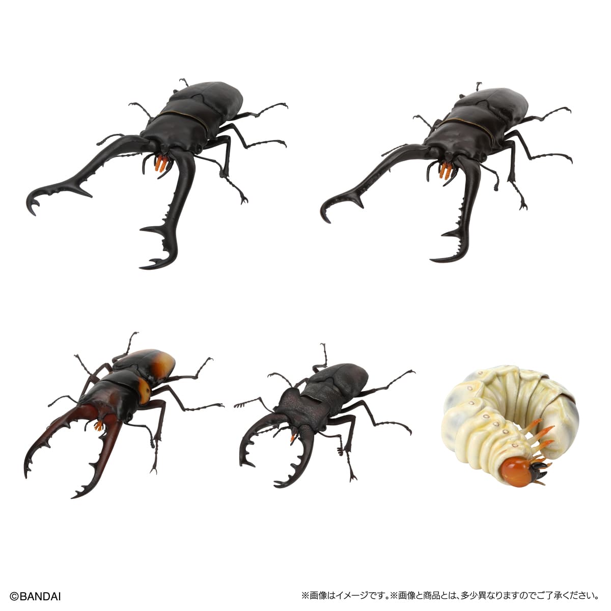 いきもの大図鑑　くわがた11　樹皮台座（小）セット