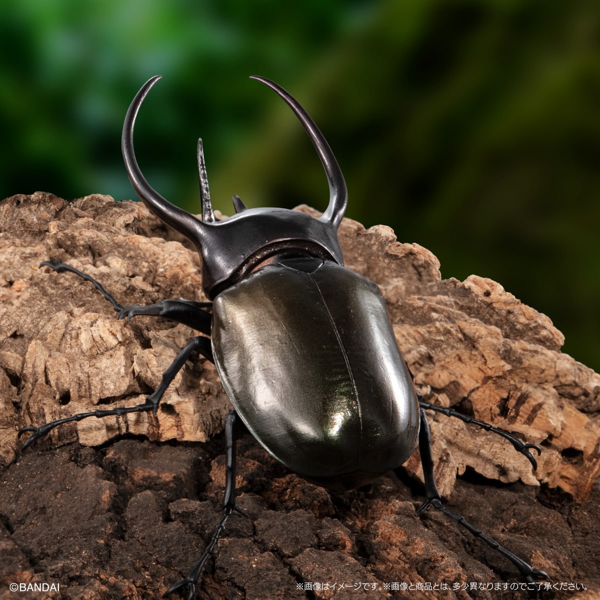 いきもの大図鑑　かぶとむし１０　樹皮台座（小）セット
