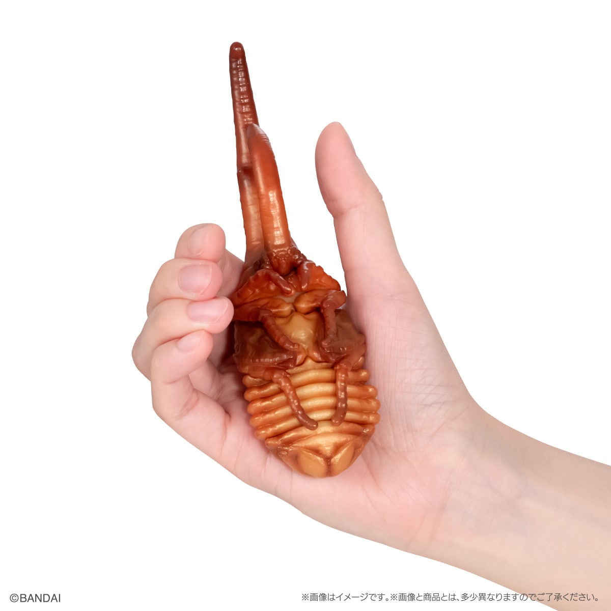 いきもの大図鑑　かぶとむし１０　樹皮台座（小）セット