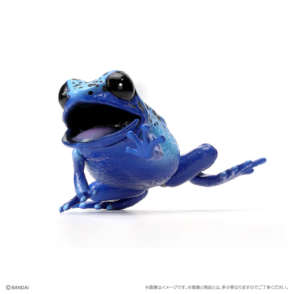 いきもの大図鑑レプティ ヤドクガエル
