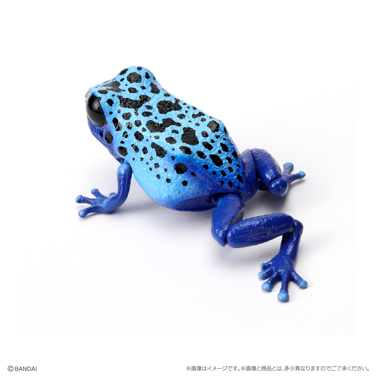 いきもの大図鑑レプティ ヤドクガエル