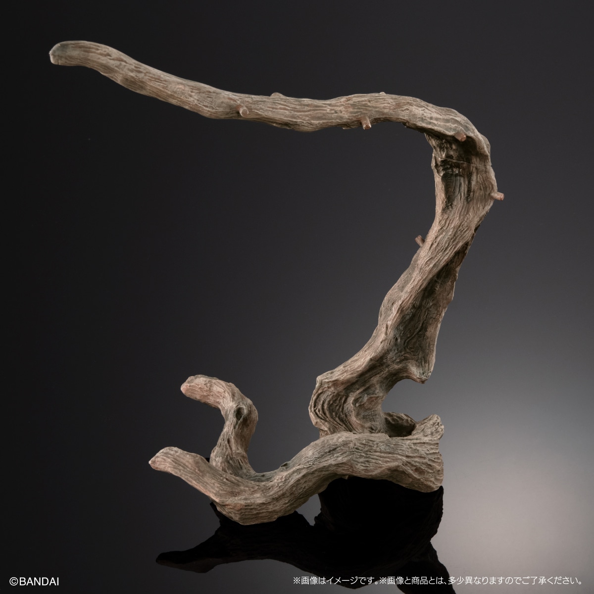 いきもの大図鑑プレミアム　エボシカメレオン