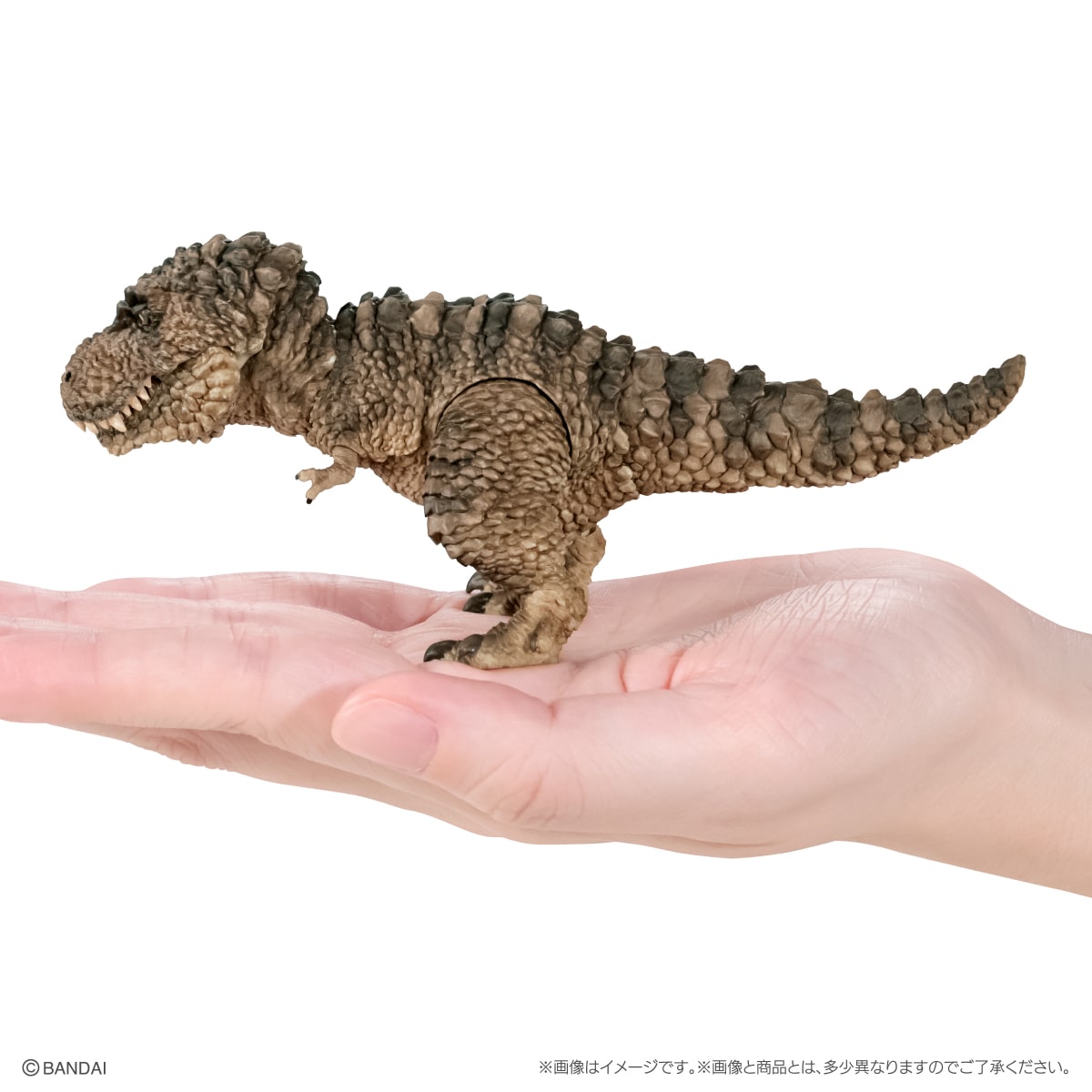 いきもの大図鑑レプティクス　恐竜