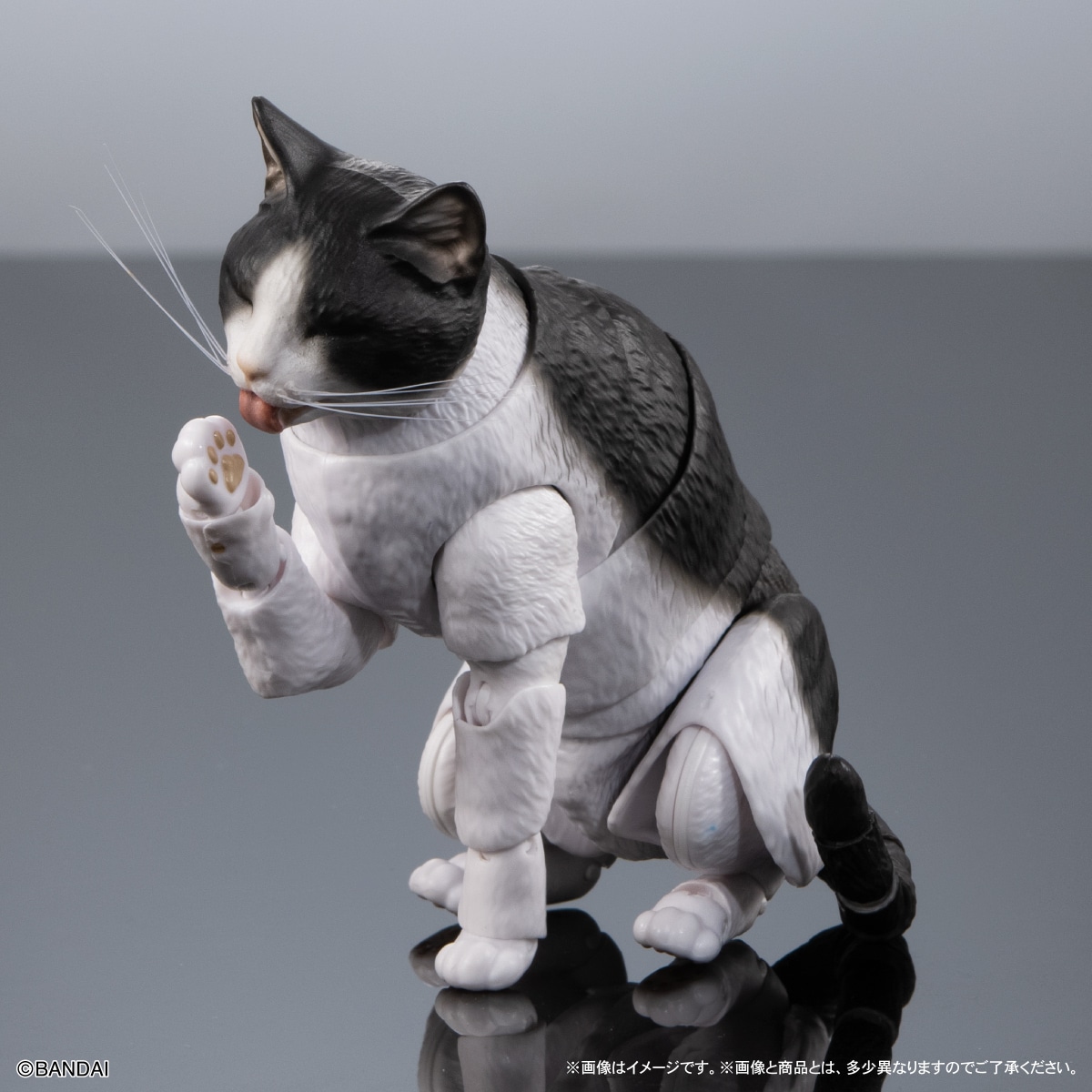 いきもの大図鑑プレミアム　猫　ハチワレ