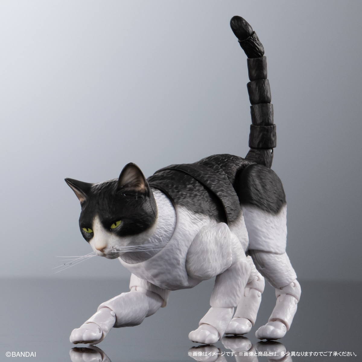 いきもの大図鑑プレミアム　猫　ハチワレ