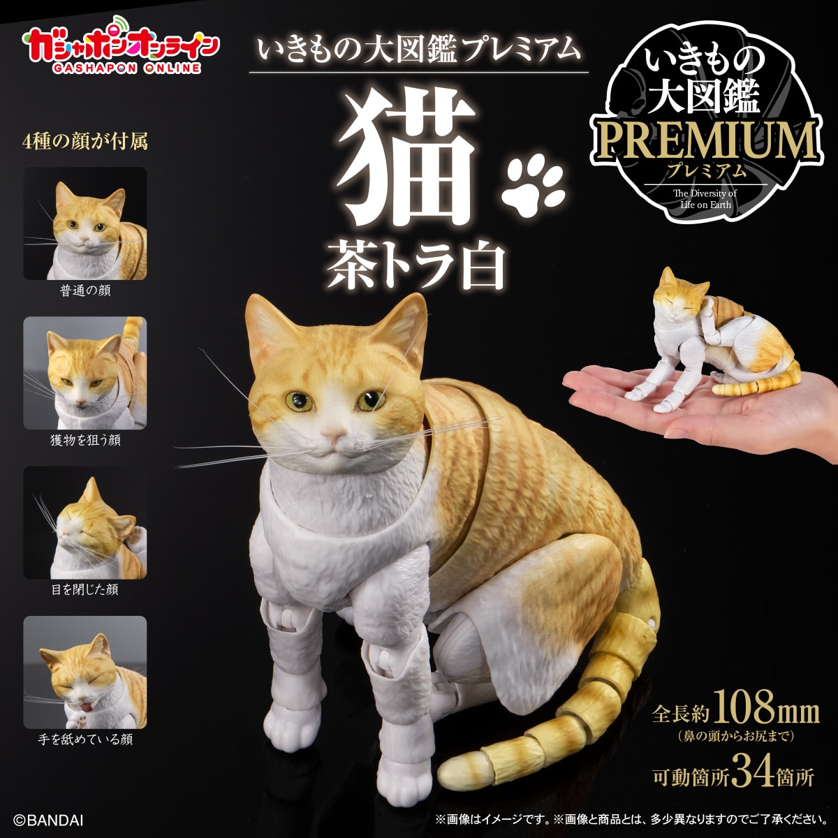 いきもの大図鑑プレミアム　猫　茶トラ白