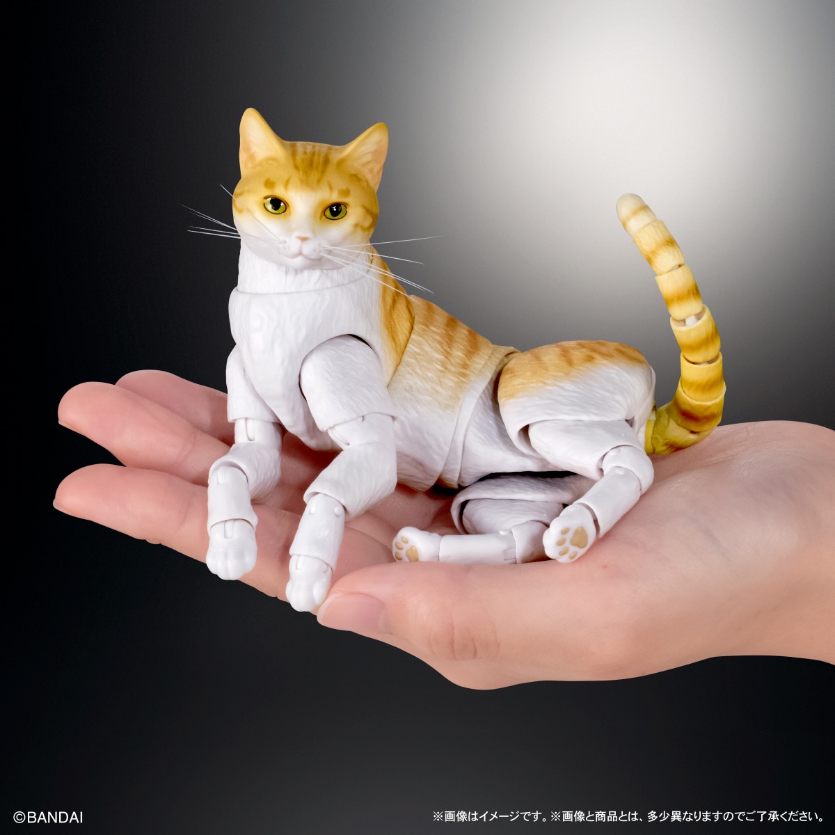 いきもの大図鑑プレミアム　猫　茶トラ白