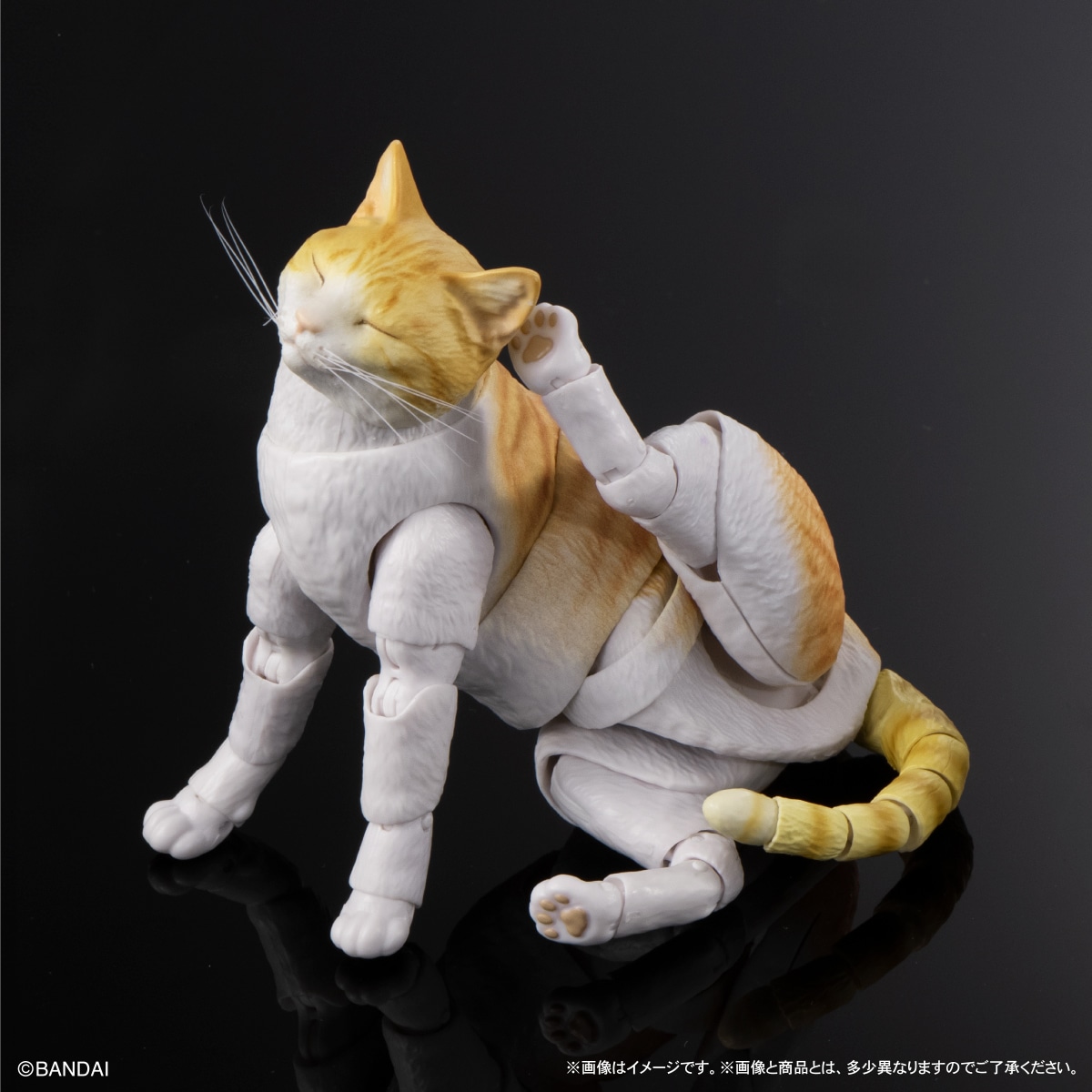 いきもの大図鑑プレミアム　猫　茶トラ白