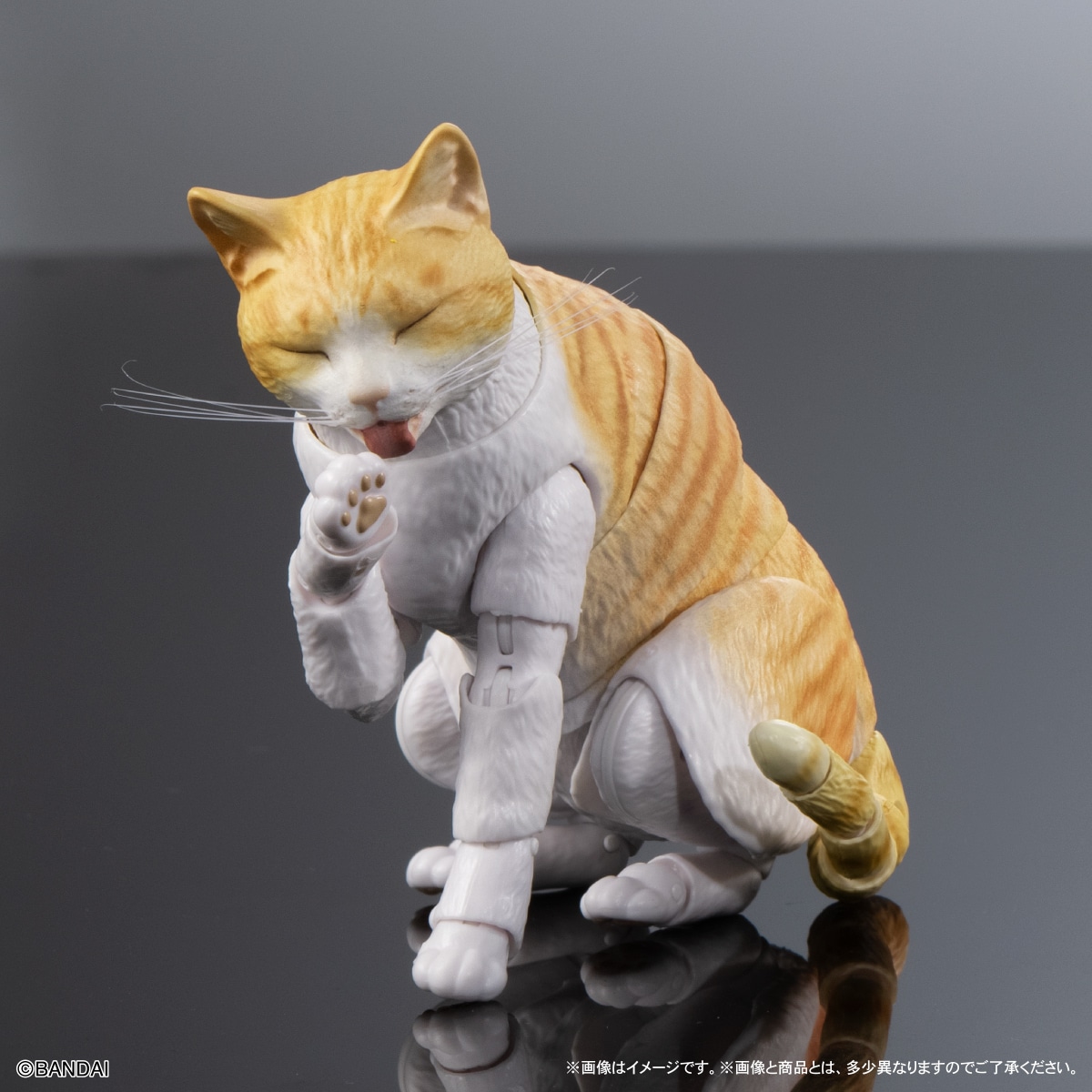いきもの大図鑑プレミアム　猫　茶トラ白
