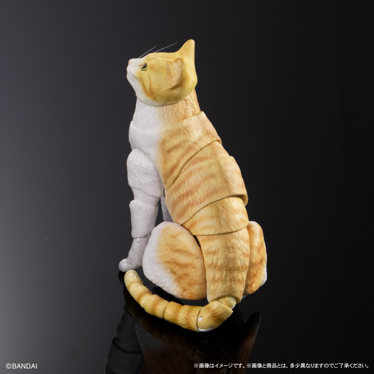 いきもの大図鑑プレミアム　猫　茶トラ白