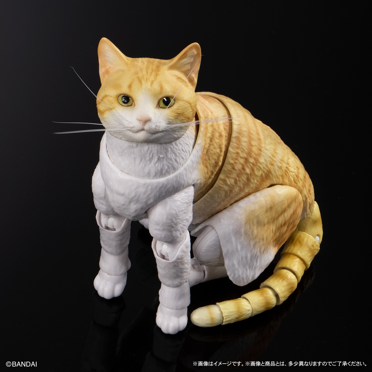 いきもの大図鑑プレミアム　猫　茶トラ白