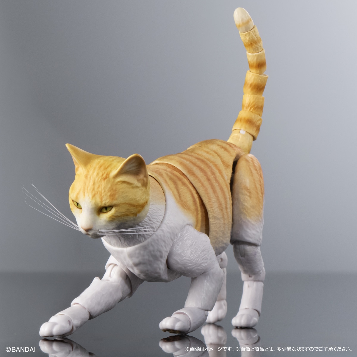 いきもの大図鑑プレミアム　猫　茶トラ白