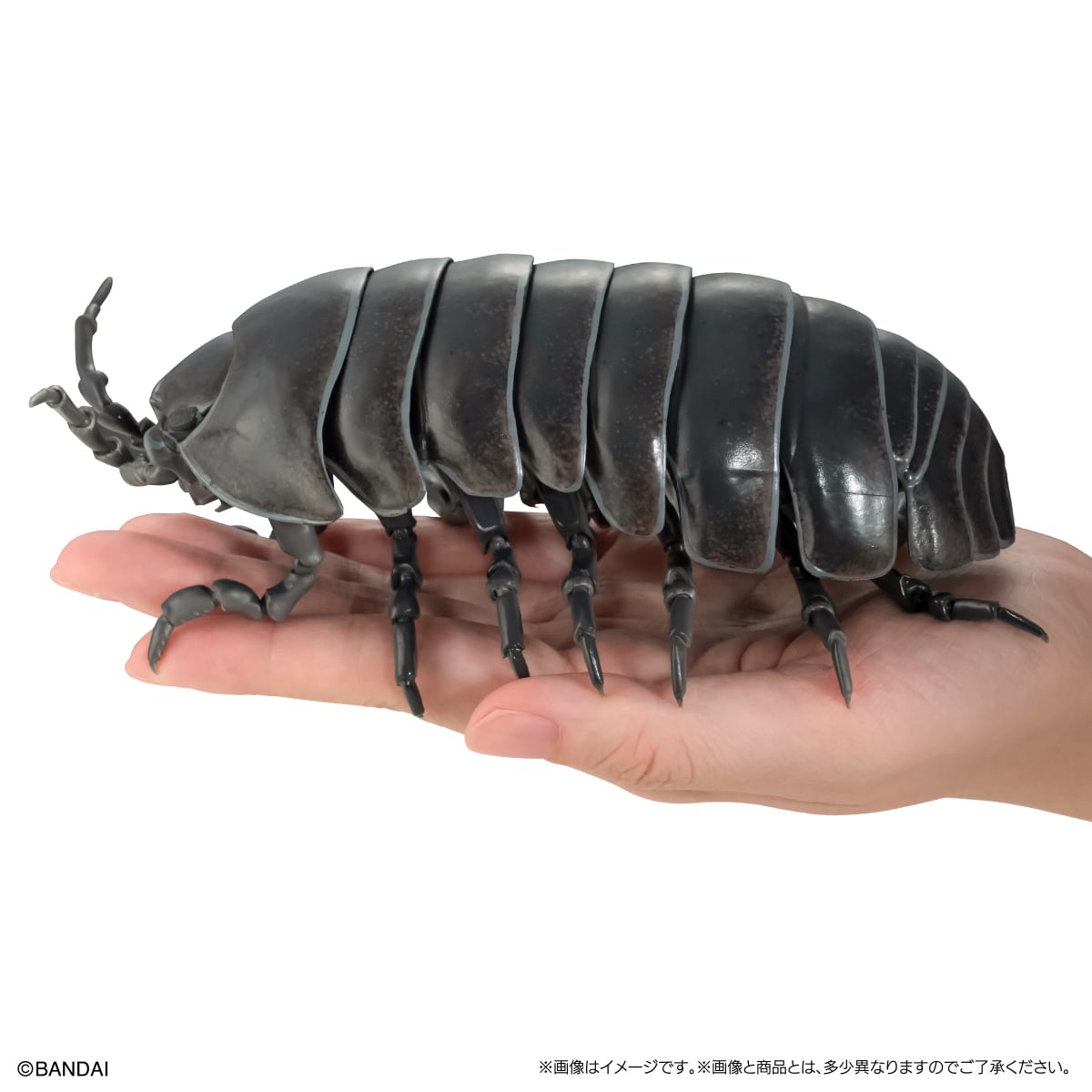 いきもの大図鑑アドバンス　ダンゴムシ（重塗装版）
