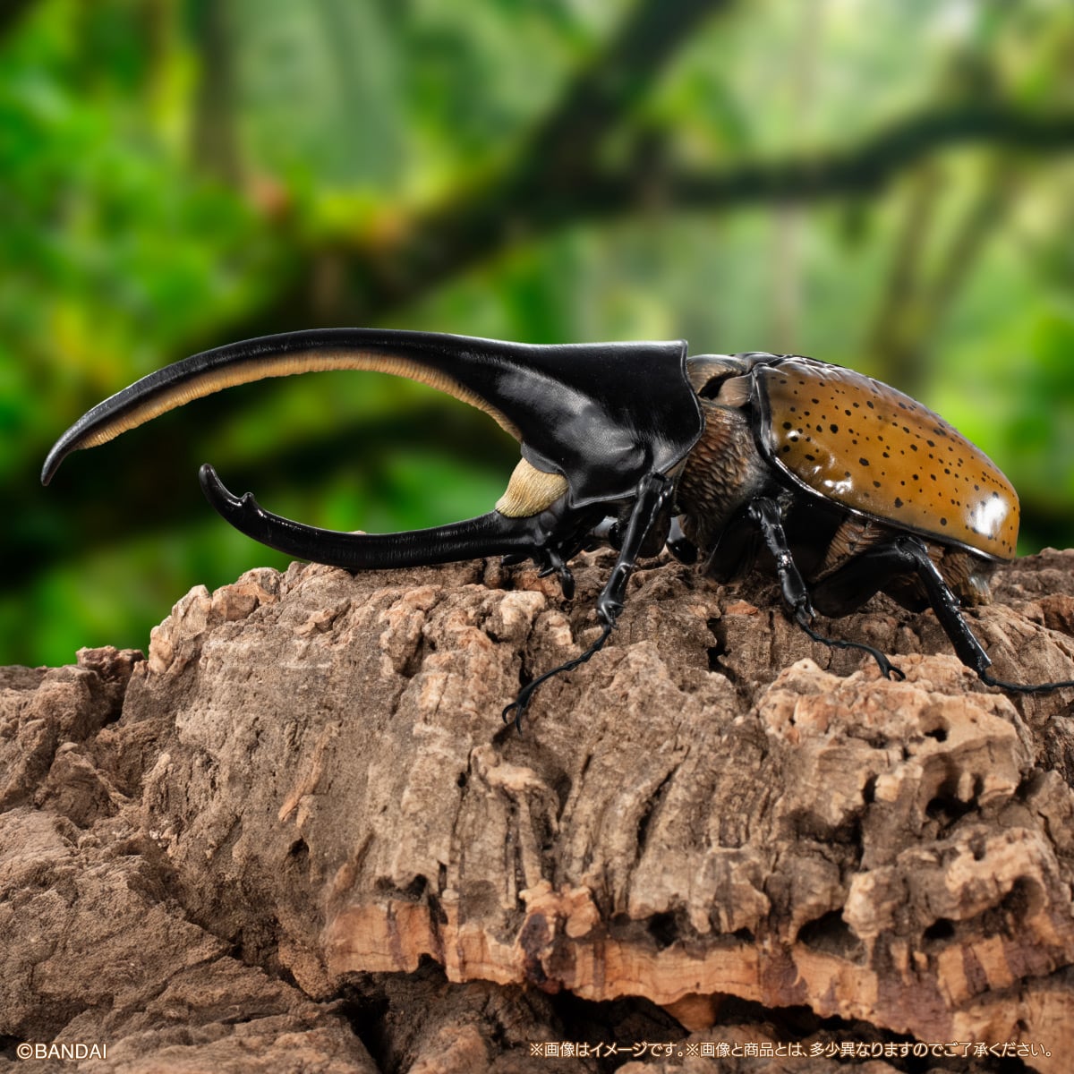 いきもの大図鑑アドバンス　カブトムシ０４　ディスプレイスタンド＆樹皮台座（中）セット