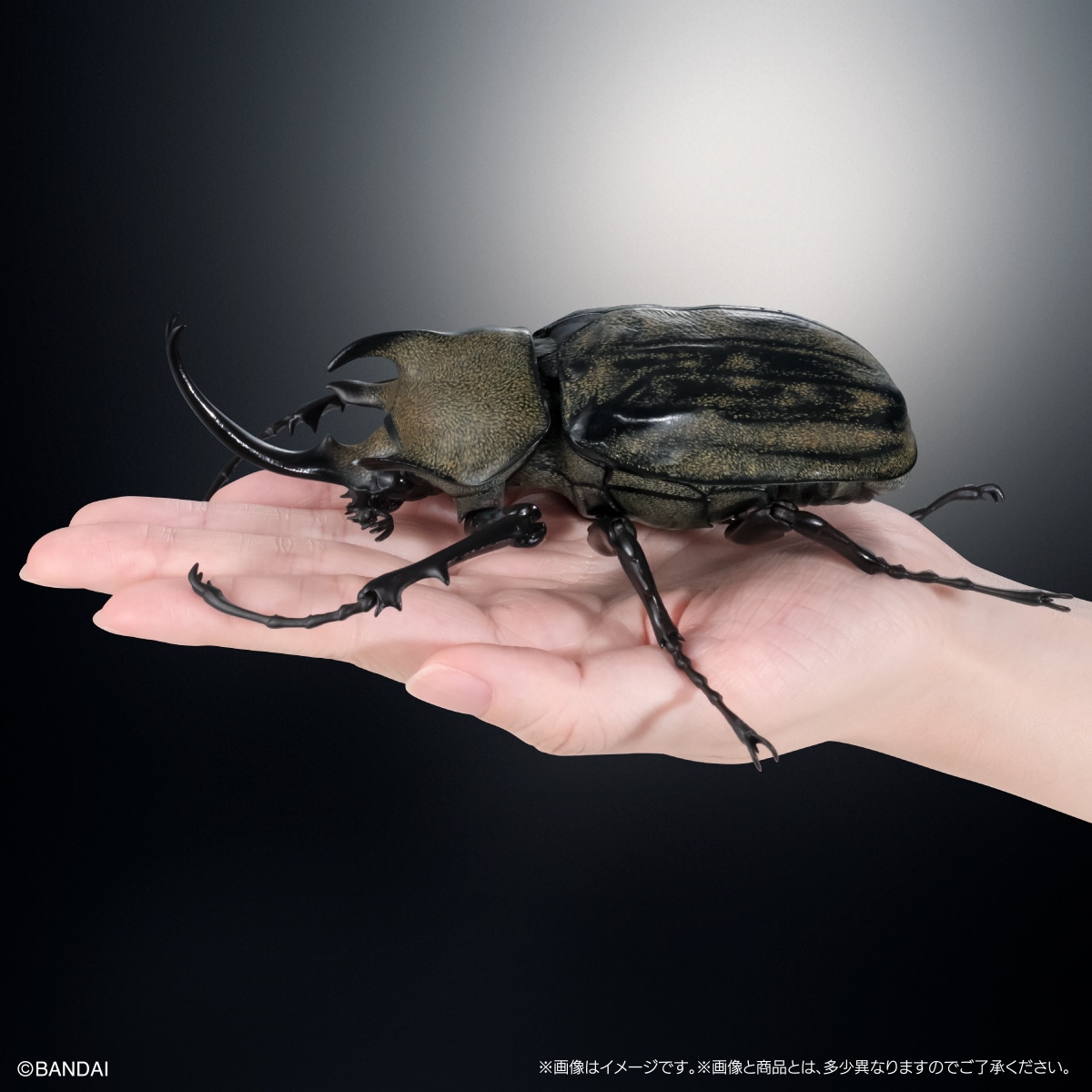 いきもの大図鑑アドバンス　カブトムシ０４　ディスプレイスタンド＆樹皮台座（中）セット