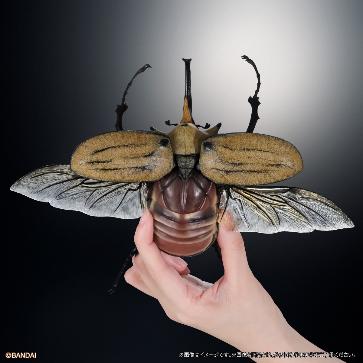 いきもの大図鑑アドバンス　カブトムシ０４　ディスプレイスタンド＆樹皮台座（中）セット