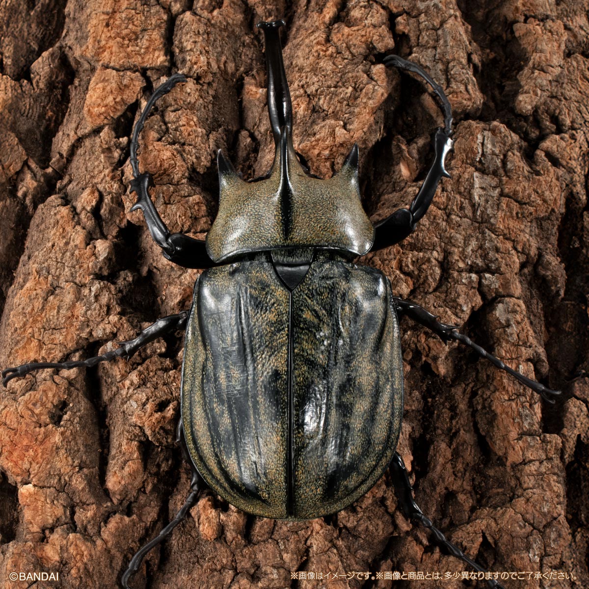 いきもの大図鑑アドバンス　カブトムシ０４　ディスプレイスタンド＆樹皮台座（中）セット