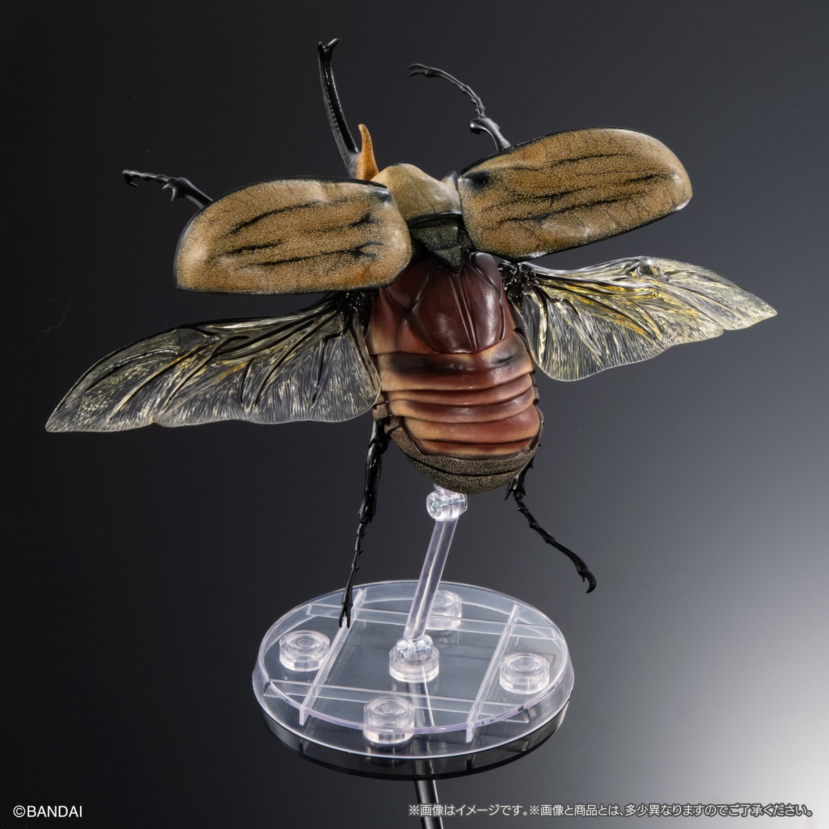 いきもの大図鑑アドバンス　カブトムシ０４　ディスプレイスタンド＆樹皮台座（中）セット