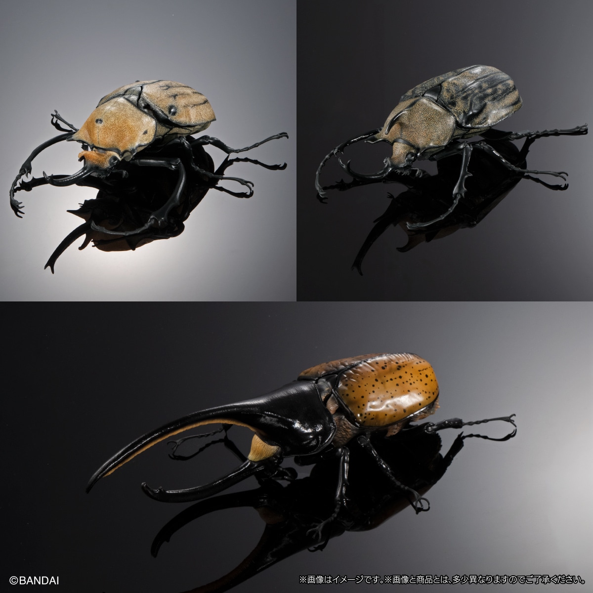 いきもの大図鑑アドバンス　カブトムシ０４　ディスプレイスタンド＆樹皮台座（中）セット