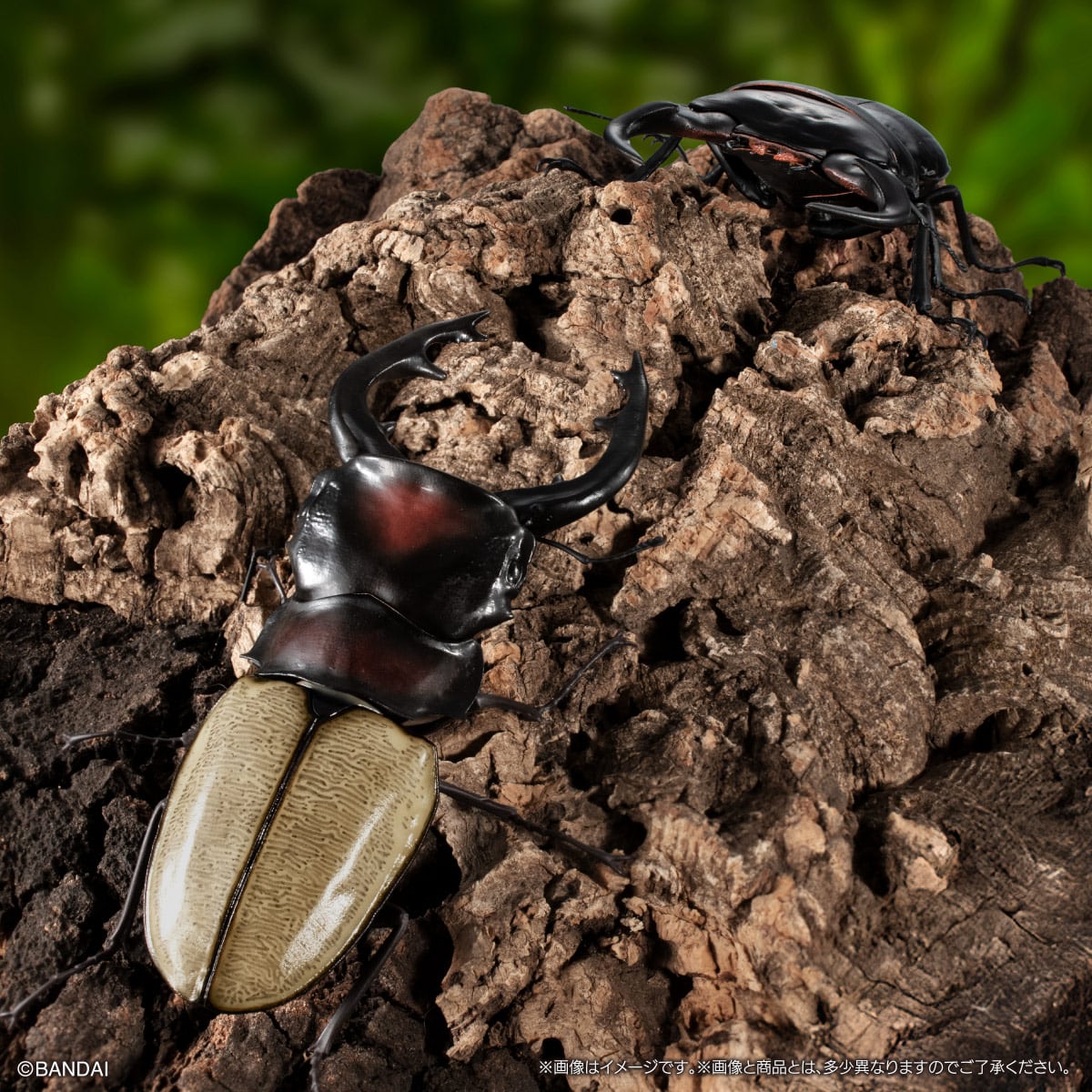 いきもの大図鑑　くわがた1２　樹皮台座（小）セット