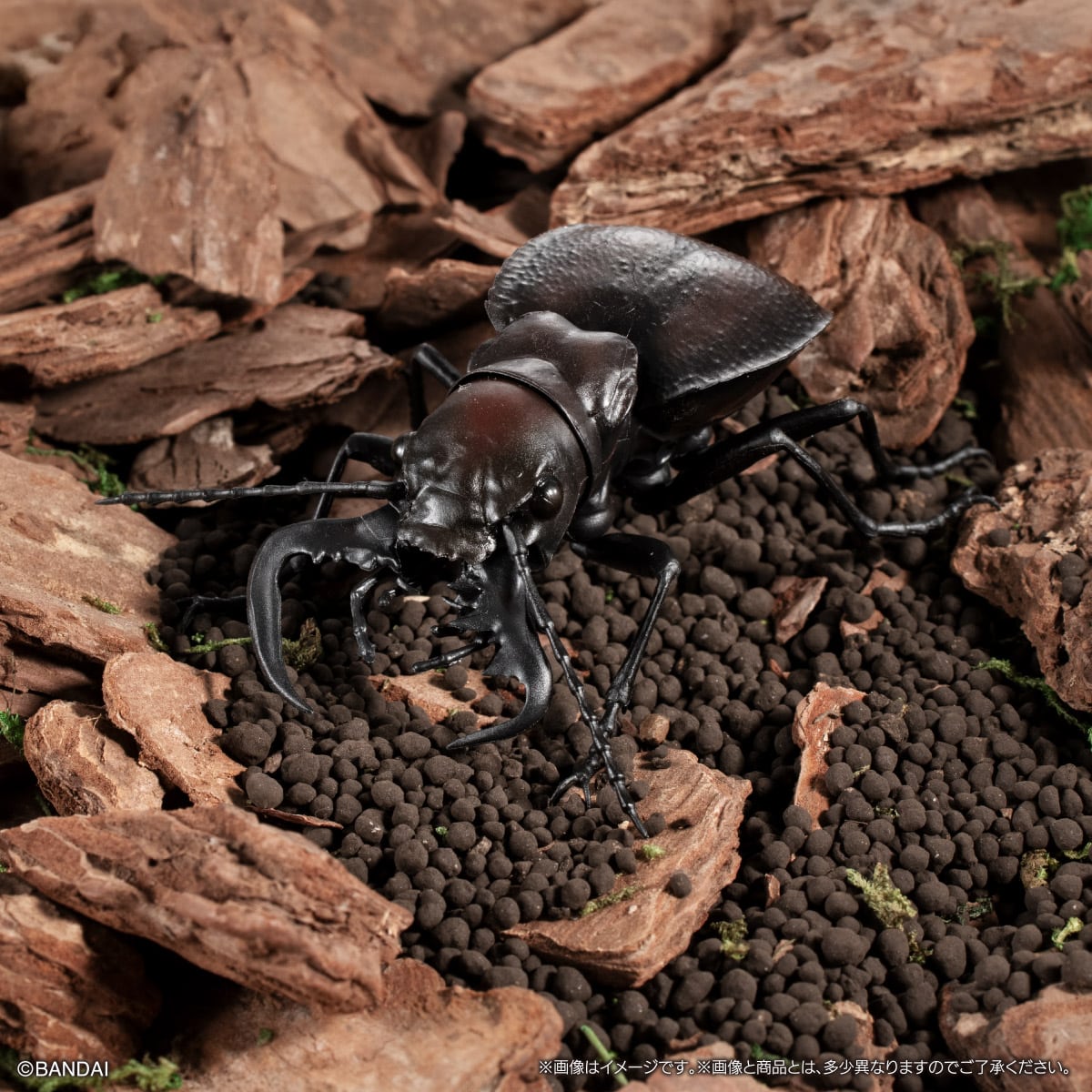 いきもの大図鑑　くわがた1２　樹皮台座（小）セット