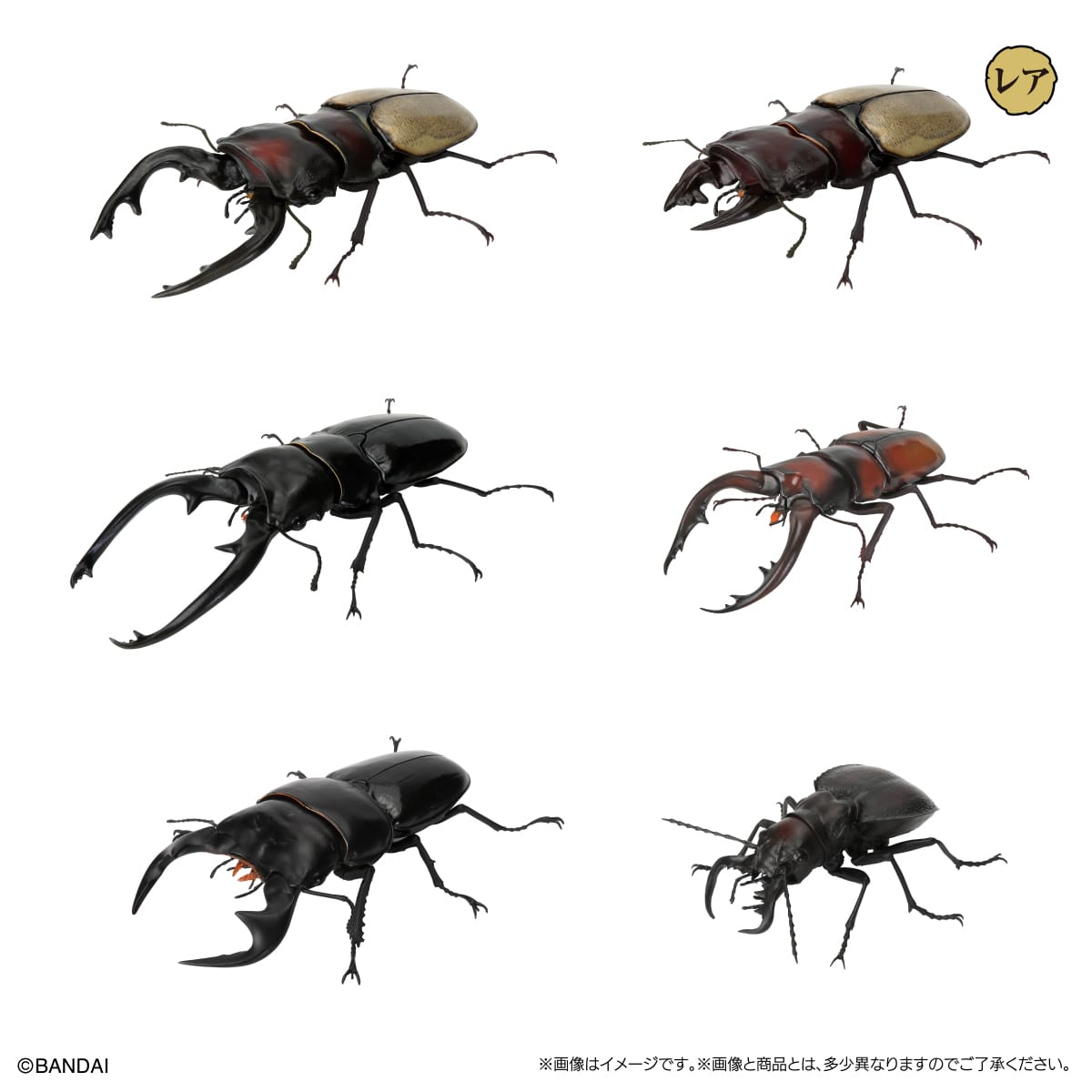 いきもの大図鑑　くわがた1２　樹皮台座（小）セット