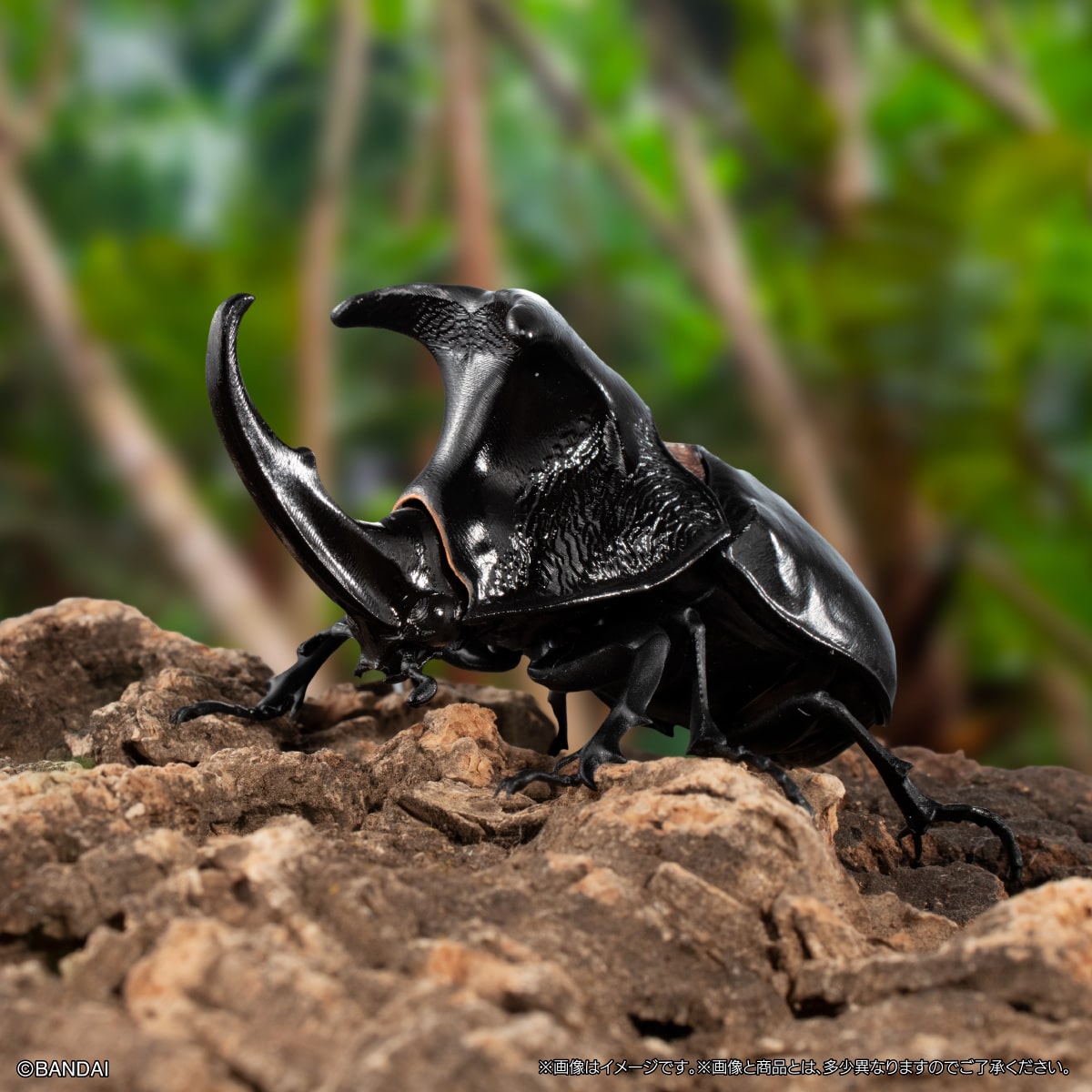 いきもの大図鑑　かぶとむし１１　樹皮台座（小）セット