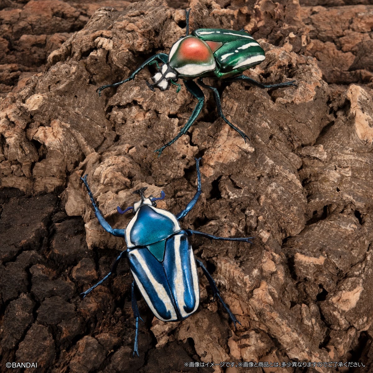 いきもの大図鑑　かぶとむし１１　樹皮台座（小）セット