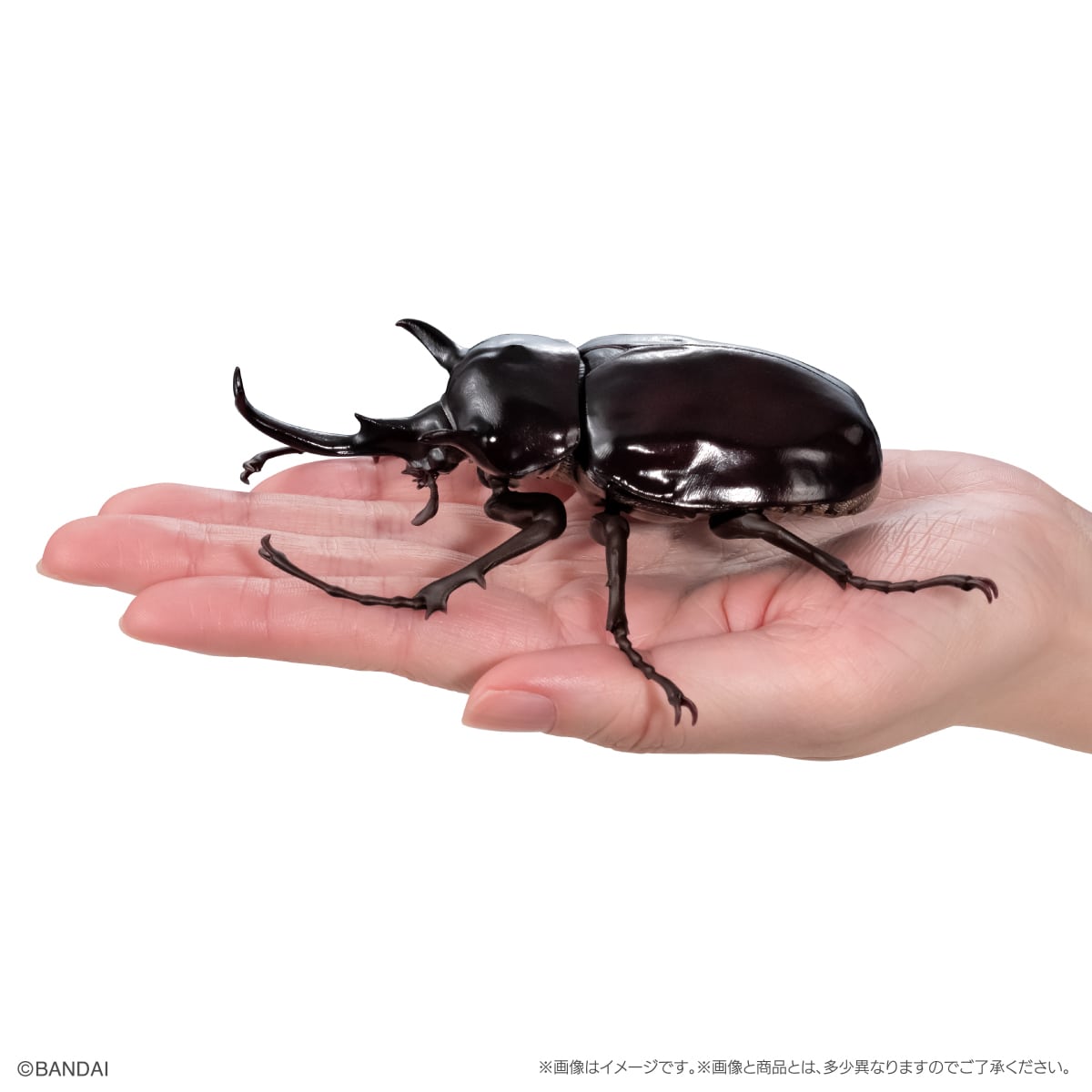 いきもの大図鑑　かぶとむし１１　樹皮台座（小）セット