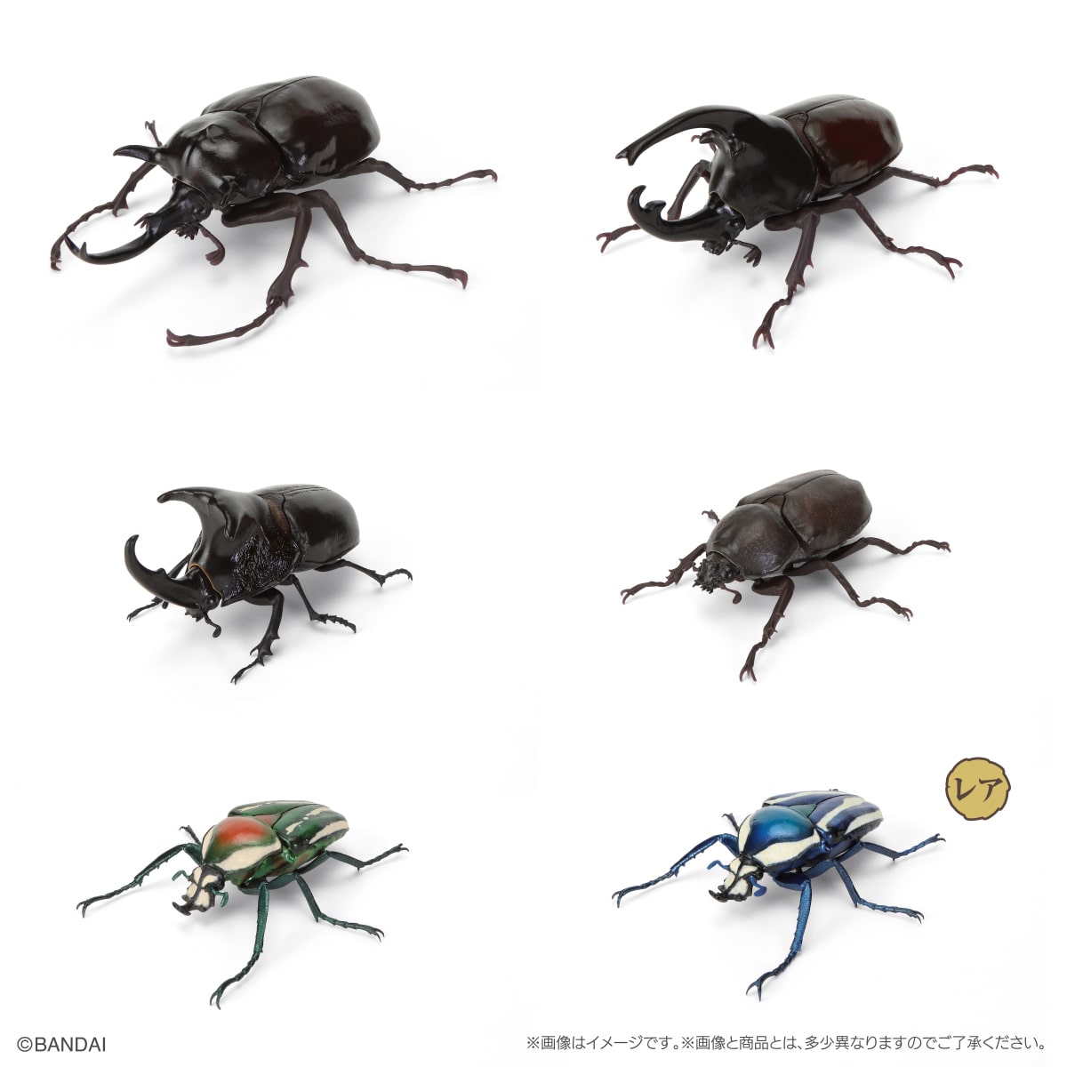 いきもの大図鑑　かぶとむし１１　樹皮台座（小）セット