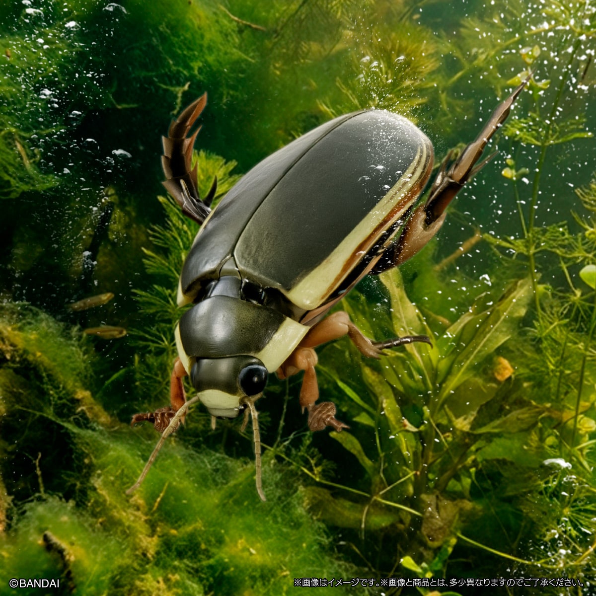 いきもの大図鑑アドバンス　水生昆虫02　ゲンゴロウ　ディスプレイスタンド＆止まり木セット