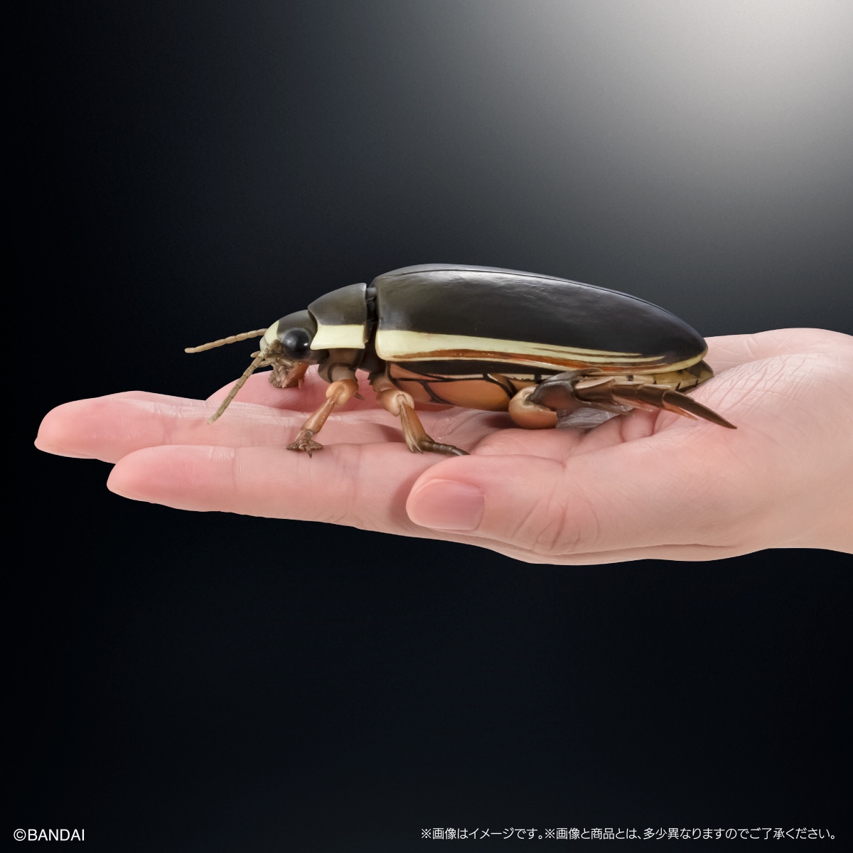 いきもの大図鑑アドバンス　水生昆虫02　ゲンゴロウ　ディスプレイスタンド＆止まり木セット