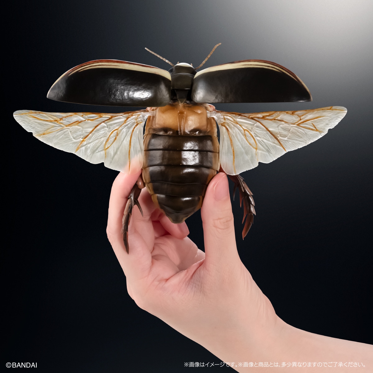 いきもの大図鑑アドバンス　水生昆虫02　ゲンゴロウ　ディスプレイスタンド＆止まり木セット