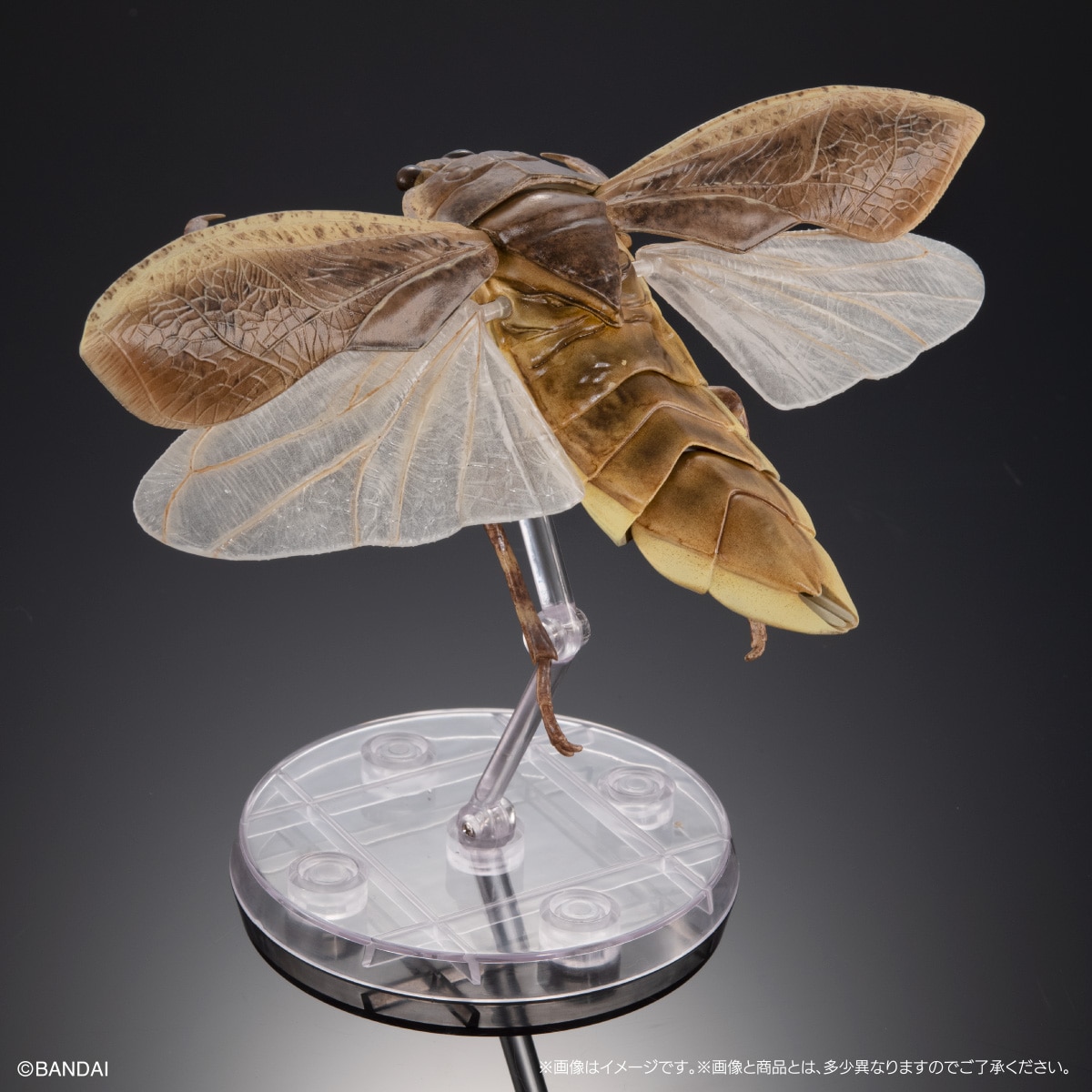 いきもの大図鑑アドバンス　水生昆虫02　ゲンゴロウ　ディスプレイスタンド＆止まり木セット