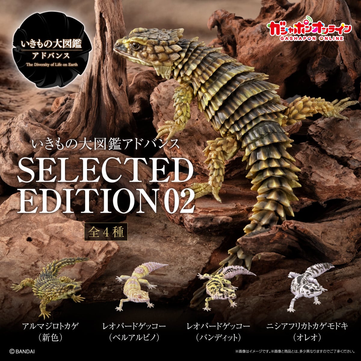 いきもの大図鑑アドバンス SELECTED EDITION 02