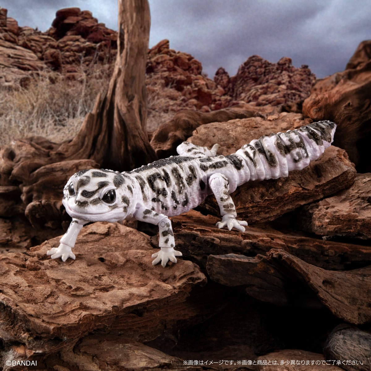 いきもの大図鑑アドバンス SELECTED EDITION 02