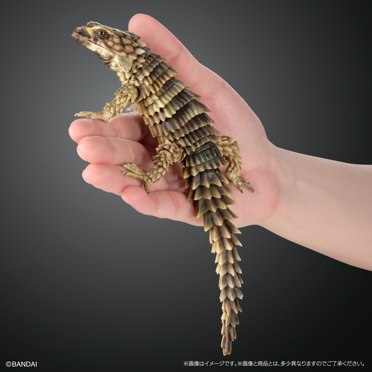 いきもの大図鑑アドバンス SELECTED EDITION 02